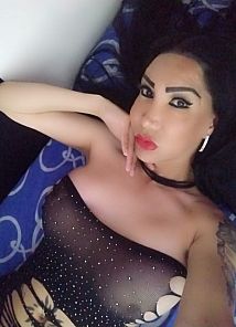 Pittsburgh Tranny Escorts